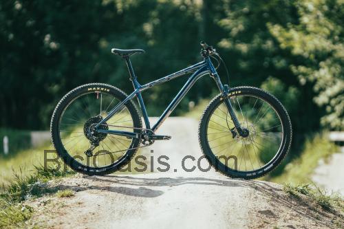 NS Bikes Eccentric Lite 1 ficha tecnica 